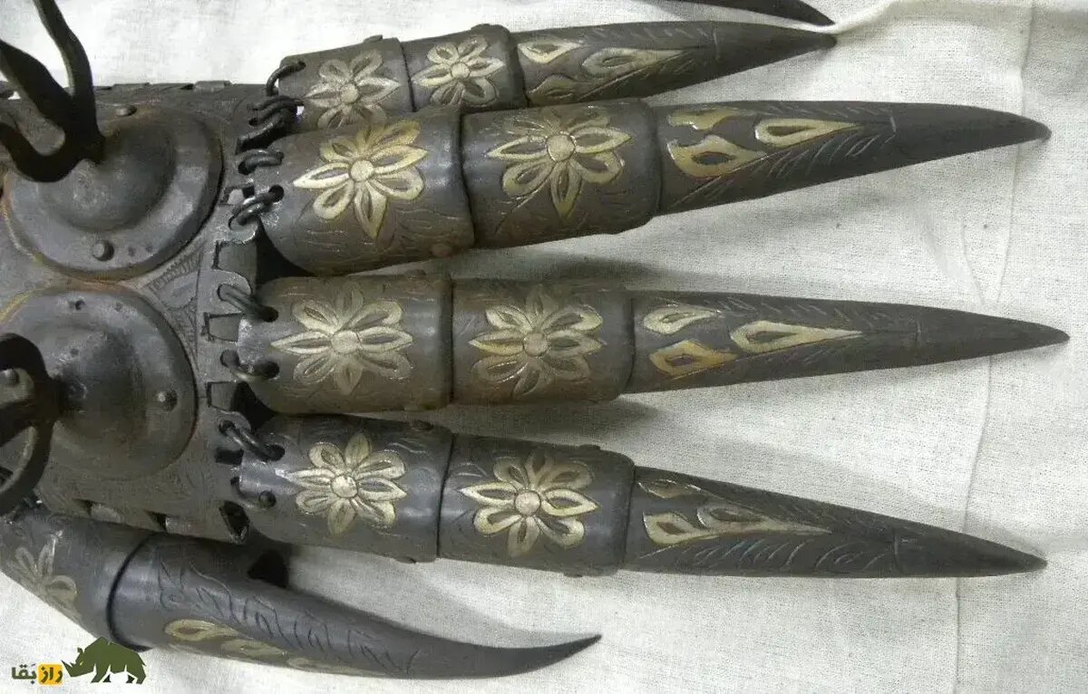 پنجه خرس؛ سلاح جنگی و مرگبار هخامنشیان/ دستکشی که داریوش با آن به ارتش هند حمله کرد پنجه خرس؛ سلاح جنگی و مرگبار هخامنشیان/ دستکشی که داریوش با آن به ارتش هند حمله کرد